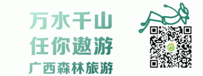 “广西十大森林康养基地”投票开始