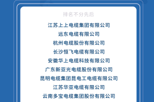 2024中国电线电缆十大质量放心企业荣耀发布